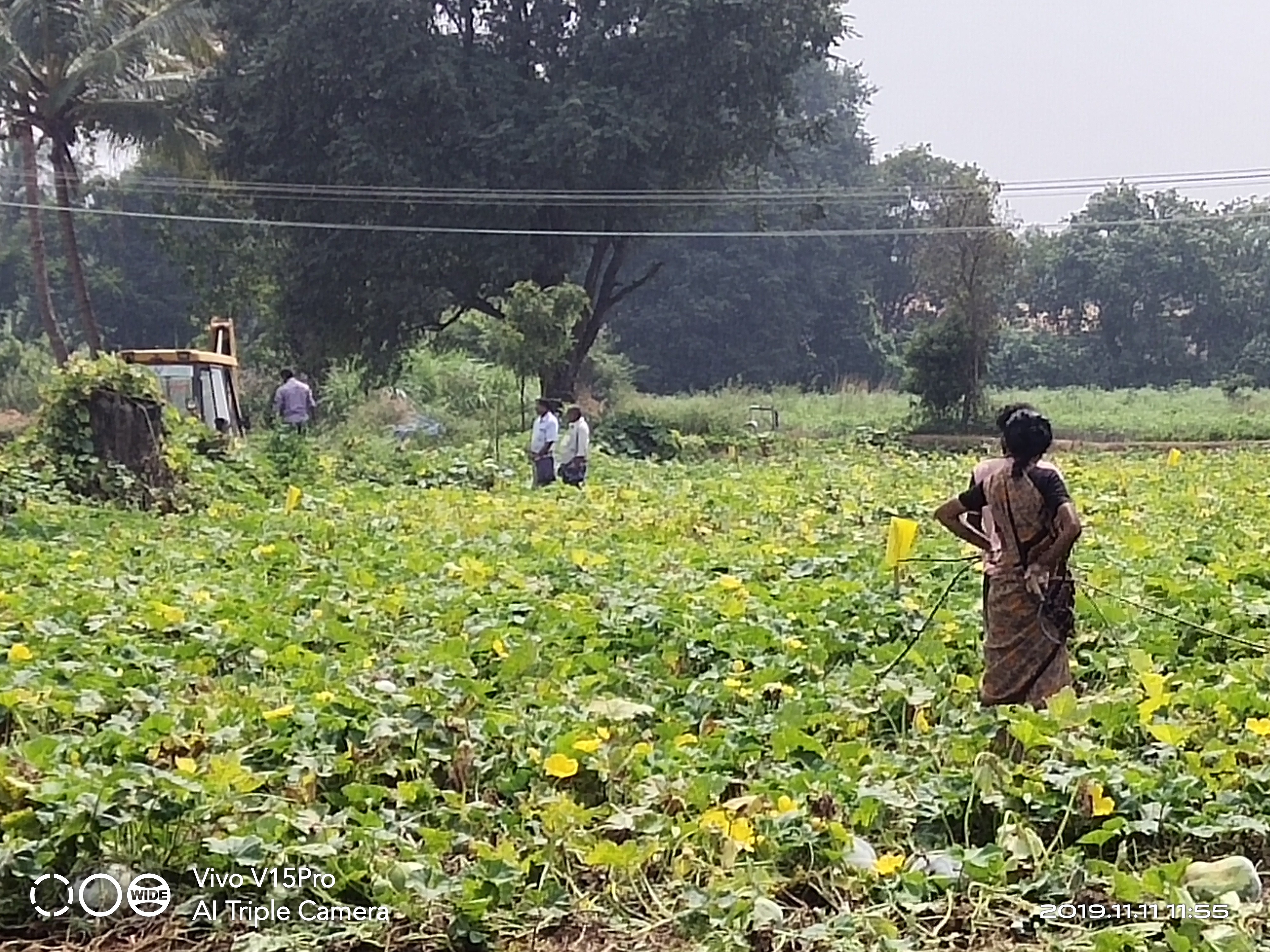 TPSOH recovering encroached Land's from farmer's at Chichuraganapalli Lake